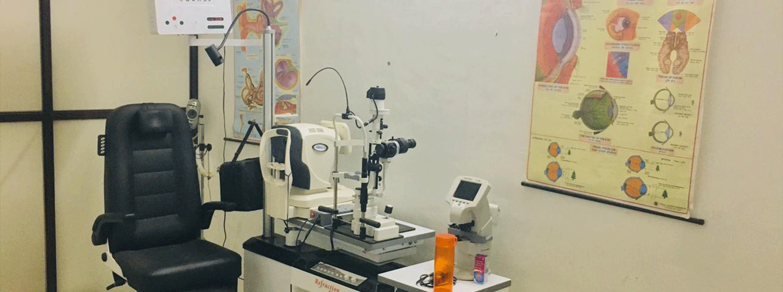 Woman Reading a Book