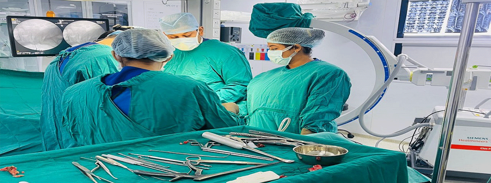 Woman Reading a Book