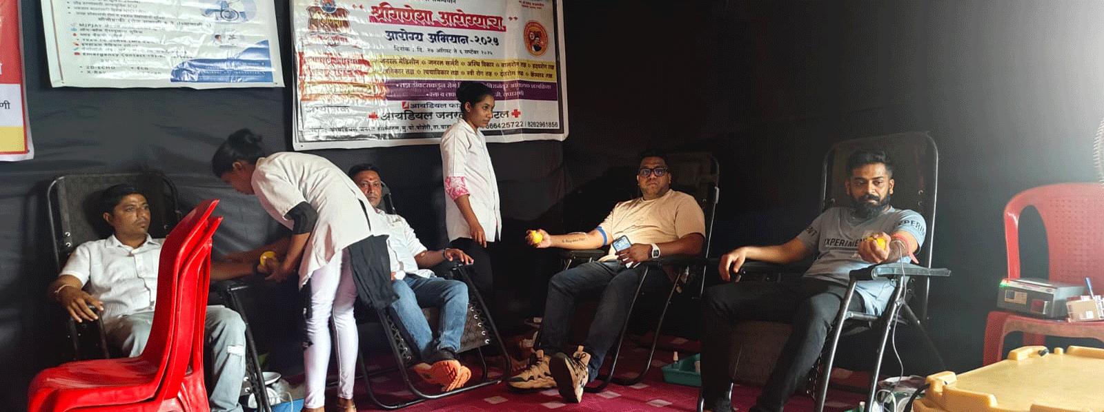 Woman Reading a Book